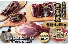 【3ヶ月定期】天然芭蕉鹿 一頭分 合計4.6kg 鹿肉用特製たれ1本・特製スパイス1本付き