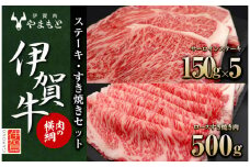 【肉の横綱】伊賀牛ステーキ・すき焼きセット
