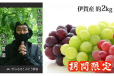 シャインマスカット入り3色 種なし大粒ぶどうセット 約2kg 伊賀産