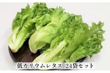 アノレタス（リーフレタス）新鮮シャキシャキ 栽培期間中無農薬低カリウムレタス 24袋セット