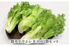 アノレタス（リーフレタス）新鮮シャキシャキ 栽培期間中無農薬低カリウムレタス 12袋セット