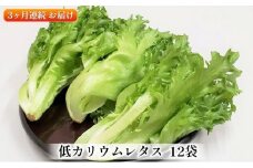 アノレタス（リーフレタス）新鮮シャキシャキ 栽培期間中無農薬低カリウムレタス 12袋×3ヶ月連続お届けセット