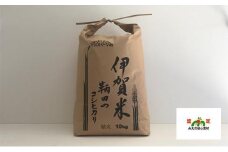 伊賀米 鞆田のコシヒカリ 白米 10kg