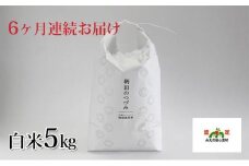 特別栽培米 伊賀米コシヒカリ 鞆田のつづみ 白米 5kg（6ヶ月連続)