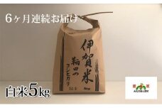伊賀米 鞆田のコシヒカリ 白米 5kg（6ヶ月連続)