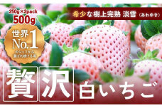 【完熟クラフト苺BERRY】海外セレブ御用達【樹上完熟白いちご】淡雪（あわゆき）約500g（出荷2024年12月上旬～2025年5月下旬）