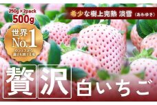 【完熟クラフト苺BERRY】海外セレブ御用達【樹上完熟白いちご】淡雪（あわゆき）約500g（出荷2025年12月上旬～2026年5月下旬）