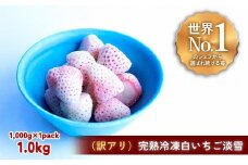 【訳アリ】完熟冷凍苺【白いちご淡雪1.0kg】化粧箱入【果実まるごとアイス】