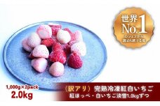 【訳アリ/食べ比べ】完熟冷凍苺「紅ほっぺ&淡雪 1.0kg×2種類」化粧箱入【果実まるごとアイス】
