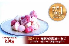 【訳アリ/食べ比べ】完熟冷凍苺「よつぼし＆淡雪 1.0kg × 2種類」化粧箱入【果実まるごとアイス】