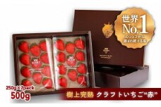 【完熟クラフト苺BERRY】有名シェフ御用達【樹上完熟赤いちご】約500g（出荷2024年12月上旬～2025年5月下旬）
