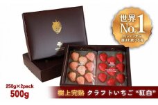 【完熟クラフト苺BERRY】有名シェフ御用達【樹上完熟樹 紅白いちごセット】約500g（出荷2024年12月上旬～2025年5月下旬）