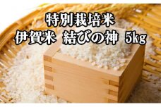 特別栽培米・伊賀米結びの神 5kg