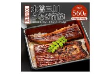 木曽岬産「木曽三川うなぎ」うなぎ蒲焼5枚(各100g)+きざみ(60g)付【1028066】