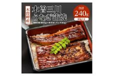 木曽岬産「木曽三川うなぎ」240g(蒲焼3枚(各60g)+きざみ1パック(60g))【1028067】