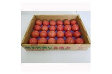 きそさきのとまと(4kg)【1029690】