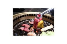 三重県産　伊勢水沢牛焼肉詰め合わせ　600g＜UF-005＞【1142710】