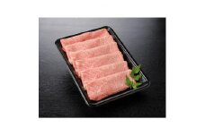 三重県産　伊勢水沢牛肩ローススライス 500g＜UF-006＞【1142711】