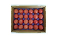 きそさきのとまと(4kg)【1264043】