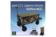 アウトドアワゴン ピクニCAR　CAMO柄(黒天板)【1354865】