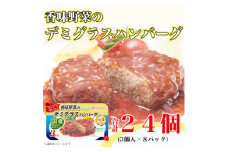＜ふるさと納税＞ 香味野菜のデミグラスハンバーグ3個入り×8パック 計24個 小分け 使い切り【1431475】
