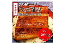 「2024年6月発送」木曽岬産「木曽三川うなぎ」うなぎ蒲焼5枚(各100g)+おまけ(60g)付【1470889】