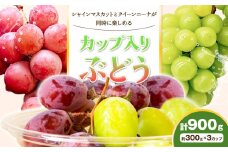 【先行予約】カップ入りぶどう シャインマスカット クイーンニーナ 約300g × 3カップ 株式会社シグマサポート《9月中旬-10月下旬頃出荷》三重県 東員町 ぶどう ブドウ フルーツ 果物 冷蔵 冷蔵便