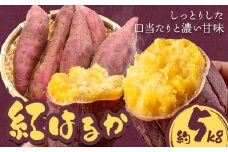 【2025年先行予約】さつまいも 紅はるか 約5kg 株式会社シグマサポート《2025年10月中旬-12月中旬頃出荷予定(土日祝除く)》送料無料 サツマイモ 三重県 東員町 お菓子 おやつ 紅はるか やきいも さつまいも 手軽