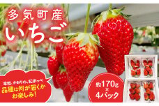 多気町産いちご  約170g×4p イチゴ 苺 章姫 かおり野 紅ほっぺ CN-01