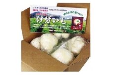 TB-01　伊勢いも皮むいちゃいました！皮むき済み真空パック