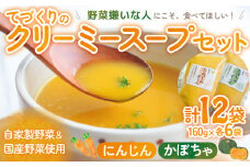 栄養満点！障がいをもつ方々が心を込めて手作りする野菜のスープ ずっぺ 人参スープ (160g×6袋) かぼちゃスープ (160g×6袋) 計12袋 セット 詰め合わせ にんじん ニンジン 人参 かぼちゃ カボチャ 南瓜 スープ クリーミー 手作り 自家製野菜 国産野菜 レトルト 三重県 多気町 DK‐01