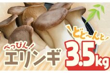 べっぴん エリンギ ！ どどーんと 3.5kg！ | えりんぎ きのこ キノコ 茸 国産 生 三重県 多気町 TN-01
