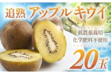 【数量限定】低農薬栽培 追熟アップルキウイ 20個 化学肥料不使用 キウイ フルーツ 果物 くだもの キウイフルーツ ゴールドキウイ アップルキウイ 完熟 追熟 三重県 多気町 TE-01