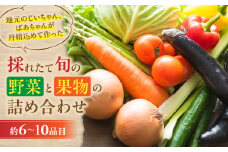 大師の里のとれたて旬の野菜と果物の詰め合わせ  人気 野菜 詰合せ 詰め合わせ セット 新鮮野菜 詰め合わせセット 野菜セット 季節の野菜 ほうれん草 かぼちゃ 白菜 トマト キャベツ 三重県 多気町 FY-02