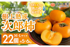 【2025年発送】三重の安心食材認定！中村農園の次郎柿 M・Lサイズ　22個 (約5～6㎏)　先行予約 先行 予約 柿 カキ かき 減農薬 安心 贈答 果物 くだもの フルーツ 三重県 多気町 NN-03