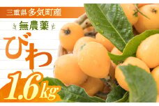 【〆切：6/16】復活！ 2025年発送 無農薬多気町産ビワ 計約1.6㎏ （約400g）×４  無農薬 枇杷 ビワ フルーツ 果物 くだもの 果実 三重県 多気町 NS-02
