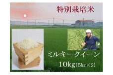 【５月発送】特別栽培米 ミルキークイーン 10㎏ | 安心 精米 もちもちした食感 こだわりの農法　TC‐0405