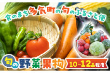 旬の野菜と果物のふるさと便　人気 野菜 詰合せ 詰め合わせ セット 新鮮野菜 詰め合わせセット 野菜セット 季節の野菜 トマト みかん ブロッコリー レモン いちご 三重県 多気町 GF-06