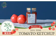 完熟トマトの贅沢ケチャップ　トマト とまと ケチャップ トマトケチャップ 完熟トマト ファーストトマト 完熟 料理 調味料 味付け 野菜 ベジタブル ソース 無添加 美味しい 三重県 多気町 PF-05