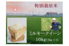 【３月発送】特別栽培米 ミルキークイーン 10㎏ | 安心 精米 もちもちした食感 こだわりの農法　TC‐0403