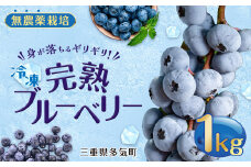 無農薬栽 冷凍完熟ブルーベリー1kg  果物 くだもの フルーツ 完熟 冷凍 ブルーベリー ジャム ピューレー スムージー シロップ 国産 農薬無使用 おいしい ビタミン 食物繊維 ミネラル 三重県 多気町 FR-01