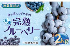 無農薬栽培 冷凍完熟ブルーベリー2kg  果物 くだもの フルーツ 完熟 冷凍 ブルーベリー ジャム ピューレー スムージー シロップ 国産 農薬無使用 おいしい ビタミン 食物繊維 ミネラル 三重県 多気町 FR-02