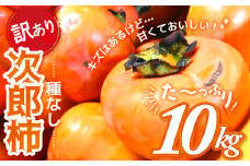 年内発送【2024年発送】数量限定《 訳あり 》10㎏ 次郎柿 たねなし 柿 かき フルーツ 家庭用 訳あり 規格外 わけあり 不揃い ふぞろい 種なし 干し柿 三重県 多気町 GF-09
