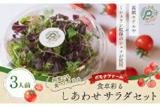 食卓彩るしあわせサラダセット（3人前） 新鮮 野菜 サラダ さらだ ベジタブル セット マイクロリーフ 水菜 からし水菜 レッドフリルマスタード 赤しそ ミニトマト トマト とまと フレンチ イタリアン 料理 健康 栄養豊富 三重県 多気町 PF-06