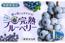 無農薬栽培 手摘み完熟ブルーベリー1kg  果物 くだもの フルーツ 完熟 手摘み ブルーベリー ジャム ピューレー スムージー シロップ 国産 農薬無使用 おいしい ビタミン 食物繊維 ミネラル 三重県 多気町 FR-03