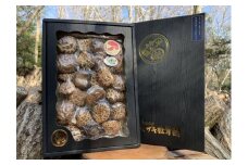 完全無農薬！ 森林栽培原木 乾しいたけ 「特撰・伊勢どんこ」 250g 【月20個限定】 YZ-011