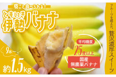 平均糖度25度以上 国産 無農薬 皮ごと食べられる「ともいき伊勢バナナ」 約1.5kg 9本～ バナナ ばなな 伊勢ばなな 伊勢バナナ ときいも伊勢バナナ 高糖度 栄養豊富 皮ごと 果物 くだもの 多気町 三重 無農薬 国産 三重県 多気町 TF-01