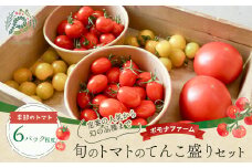 旬のトマトのてんこ盛りセット  トマト とまと 完熟トマト ミニトマト 大玉トマト ファーストトマト セット 詰め合わせ リコピン 薄皮 野菜 ベジタブル 果物  完熟 美味しい 新鮮 やさい フルーツ サラダ 三重県 多気町 PF-011