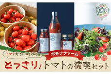 どっさりトマトの満喫セット　トマト好きの方はぜひ！  トマト とまと 完熟トマト ミニトマト 大玉トマト トマトケチャップ トマトジュース セット 詰め合わせ リコピン 薄皮 野菜 ベジタブル 果物 完熟 美味しい 人気 新鮮 やさい フルーツ サラダ 三重県 多気町 PF-09