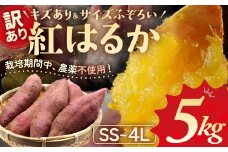 ≪訳あり≫ 栽培期間中農薬不使用 サツマイモ 5kg 紅はるか 無農薬 さつまいも サツマイモ ワケアリ ワケアリ わけありさつまいも詰め合わせ 芋 いも 三重県 多気町 GE-01